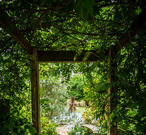 Jak urządzić bardzo duży ogród, by stał się funkcjonalny i przytulny? duży ogród