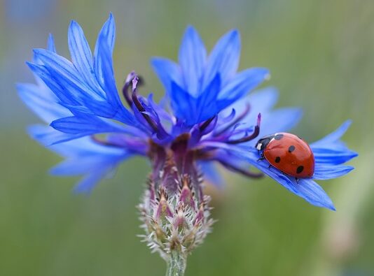 Ile punktów świetlnych na sufit? Ile punktów świetlnych na sufit?