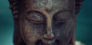 Ile zarabia Budda na loterii?