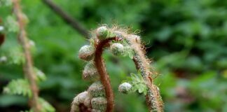 Jak wyprostować felgę od motocykla?