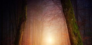 Jakie oświetlenie na zewnątrz domu? Jakie oświetlenie na zewnątrz domu?