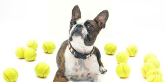 Co oznacza symbol Jil na felgach?