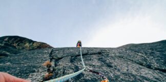 Czy po 2 lampkach wina można prowadzić?