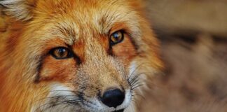 Jak wycenić rękodzieło?