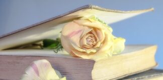 Czy warto kupić używaną Toyotę Prius?