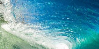 Co to jest Dynamic Xenon? Co to jest Dynamic Xenon?