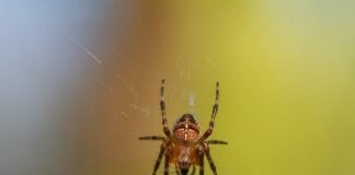 Ile waży kątownik 45x45?