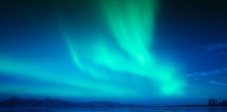 Po czym poznać że olej jest syntetyczny?