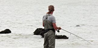 Jakie zawiasy do drzwi wewnętrznych?