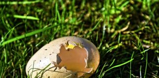 Jaki Quick Detailer na powłokę ceramiczną?