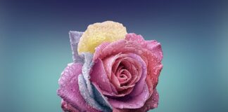 Czym się różni kształtownik walcowany od giętego na zimno?