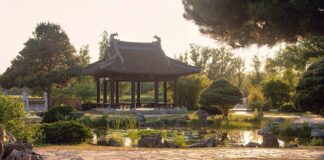 Czy Iga odebrała Porsche? Czy Iga odebrała Porsche?