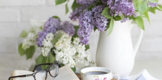 Ile kosztuje ustawienie świateł na stacji diagnostycznej?