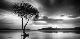 Ile to 1 GB ile to MB? Ile to 1 GB ile to MB?