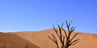 Czy można położyć wosk na ceramikę?