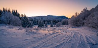 Czemu opona bije? Czemu opona bije?