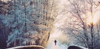 Kiedy przejść z oleju syntetycznego na półsyntetyczny?