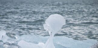 Jak poznać fajną kobietę?