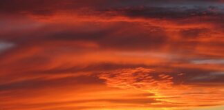 Jakim symbolem wg PN EN 12004 oznaczone są zaprawy klejowe Szybkowiążące? Jakim symbolem wg PN EN 12004 oznaczone są zaprawy klejowe Szybkowiążące?