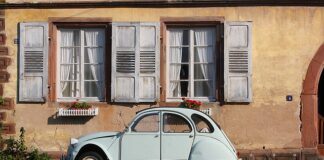 Czy warto kupić Renault Trafić?