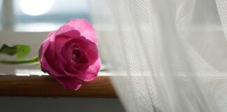 Co powiesić na karniszu zamiast firanki? Co powiesić na karniszu zamiast firanki?