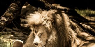 Jak obliczyć objętość szklanki?