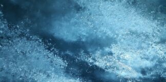 Czy wino powinno się trzymać w lodówce?