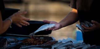 Czy można sprzedawać na rynku bez działalności?