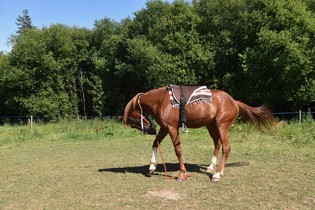 Kiedy montować karnisze? Kiedy montować karnisze?