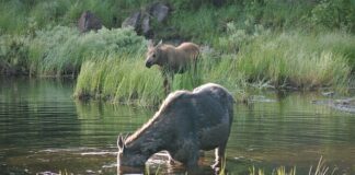 Dlaczego przez okna wszystko słychać?