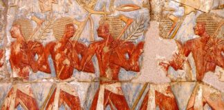 Jakie ulgi przy zakupie hybrydy?