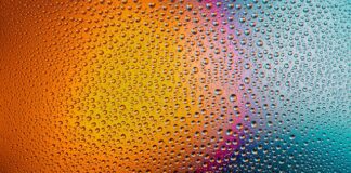 Jak myć kiełki? Jak myć kiełki?