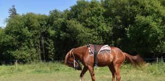 Na jaką wysokość montować karnisze? Na jaką wysokość montować karnisze?