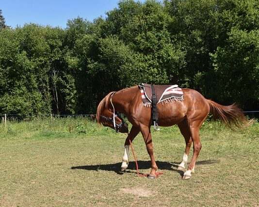 Na jaką wysokość montować karnisze?