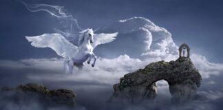 Jak zdjąć skrzydło z okna? Jak zdjąć skrzydło z okna?