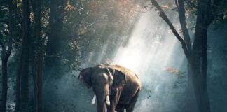 Czego można życzyć z okazji Świąt Wielkanocnych? Czego można życzyć z okazji Świąt Wielkanocnych?