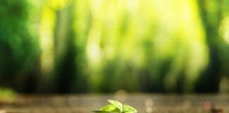 Jak zrobić własny kalendarz na ścianę?