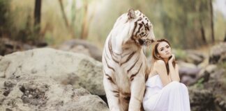 Jaki stopień ochrony IP do łazienki?