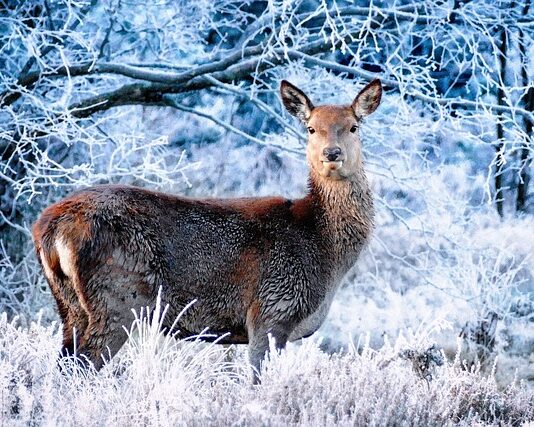 Co sprzedawać w zimie?