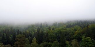 Jak najlepiej zasłonić okna przed słońcem? Jak najlepiej zasłonić okna przed słońcem?