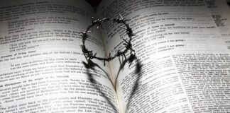 Ile wchodzi Adblue do Toyoty Proace?