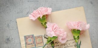 Czy na pocztówce musi być znaczek?