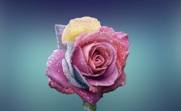 Co dalej z fabryka Opla w Gliwicach?