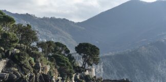 Ile kosztuje założenie ksenonów?