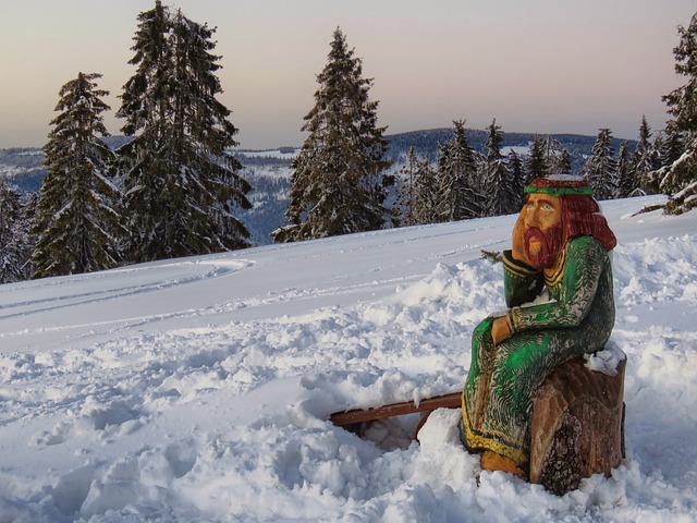 Ile porsche ma Świątek? Ile porsche ma Świątek?
