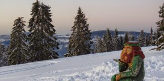 Jakie porsche ma Świątek?