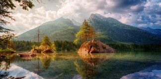 Jak nazywa się górna część kieliszka?