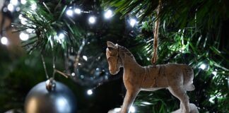 Jak zrobić kartkę świąteczną w programie komputerowym?