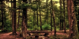 Jakie lustro wybrać do małej łazienki? Jakie lustro wybrać do małej łazienki?