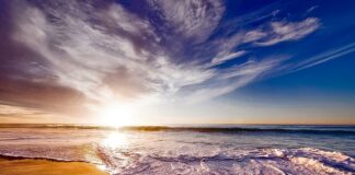 Czy codzienne picie whisky jest zdrowe?